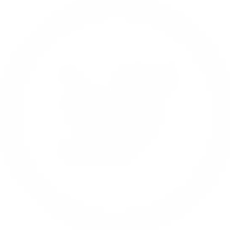 social-media-icon