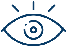 vision